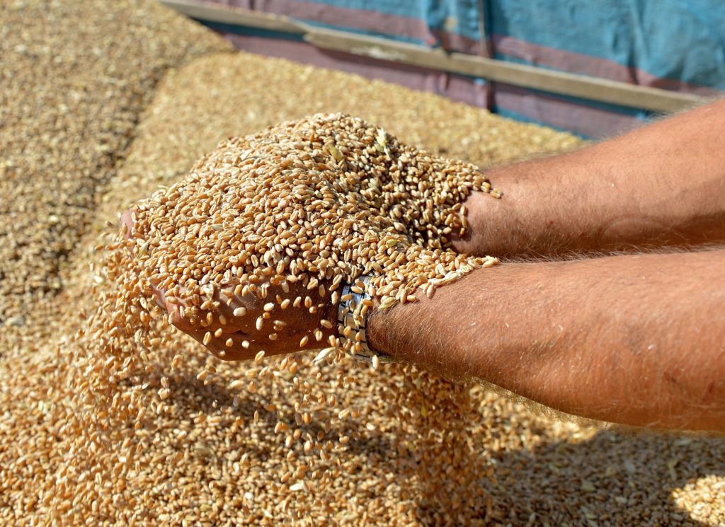 Μέχρι και σιτηρά με 25% έκπτωση αγοράζει από την Ουκρανία η Τουρκία όταν ο κόσμος πεινάει!