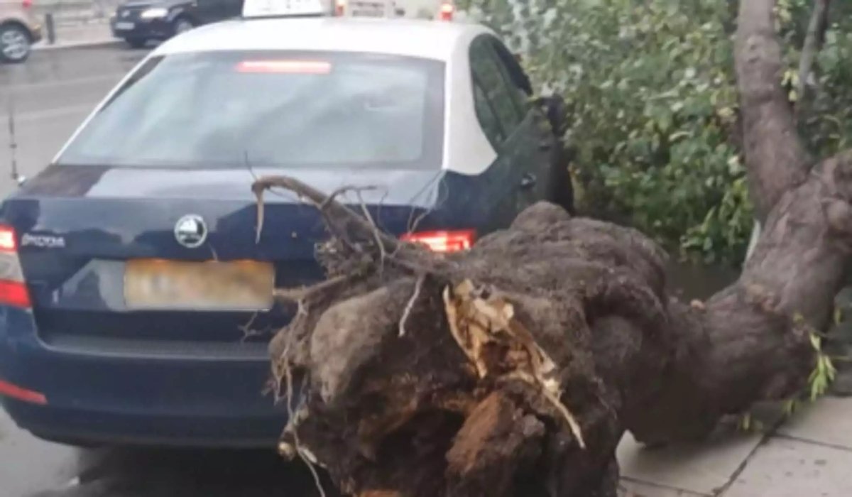 Θεσσαλονίκη: Μόλις μπήκαν σε ταξί έπεσε πάνω του δέντρο που ξεριζώθηκε από ανέμους
