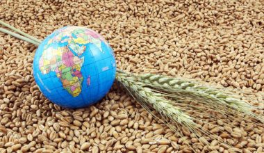 Σ.Λαβρόφ: Η Ρωσία έτοιμη να βοηθήσει στην αποτροπή της επισιτιστικής κρίσης