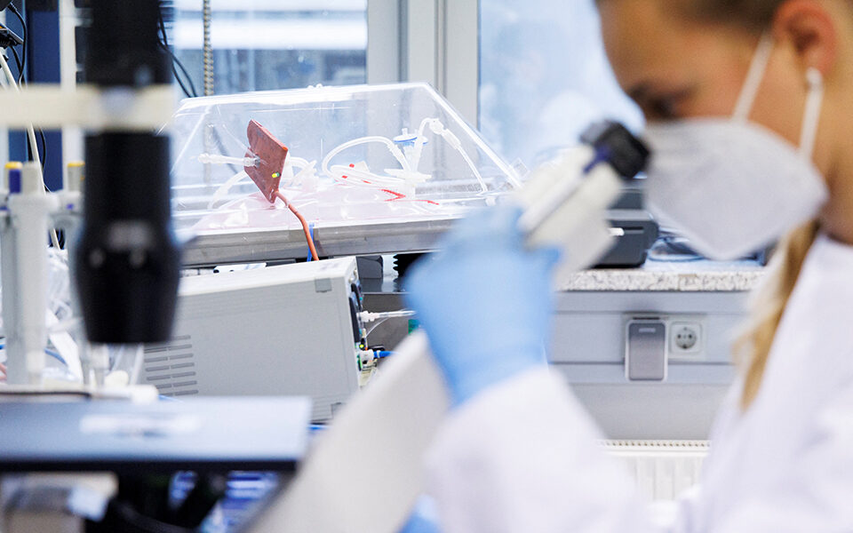 ΠΟΥ για την ευλογιά των πιθήκων: Περισσότερα από 1.000 κρούσματα σε 29 χώρες