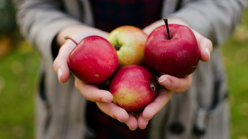 Μήλα: Οι θρεπτικές ουσίες, οι ιδιότητες και τα οφέλη που έχουν για την υγεία