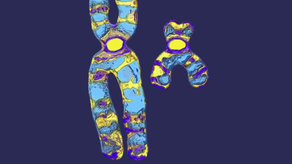 Νέα έρευνα: Ένας στους 500 άνδρες έχει έξτρα χρωμόσωμα – Ποιοι οι κίνδυνοι