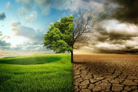 Κλιματική αλλαγή: Υψηλός κίνδυνος ξηρασίας μέχρι το 2050