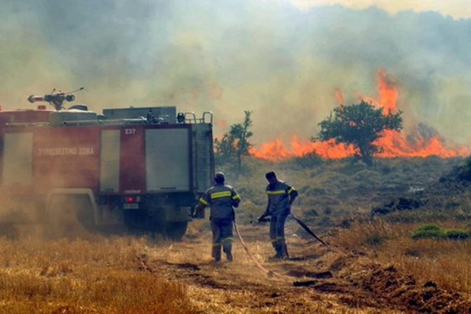 ΓΓΠΠ: Ο χάρτης πρόβλεψης κινδύνου πυρκαγιάς για αύριο Κυριακή – Ποιες περιοχές κινδυνεύουν (φώτο)