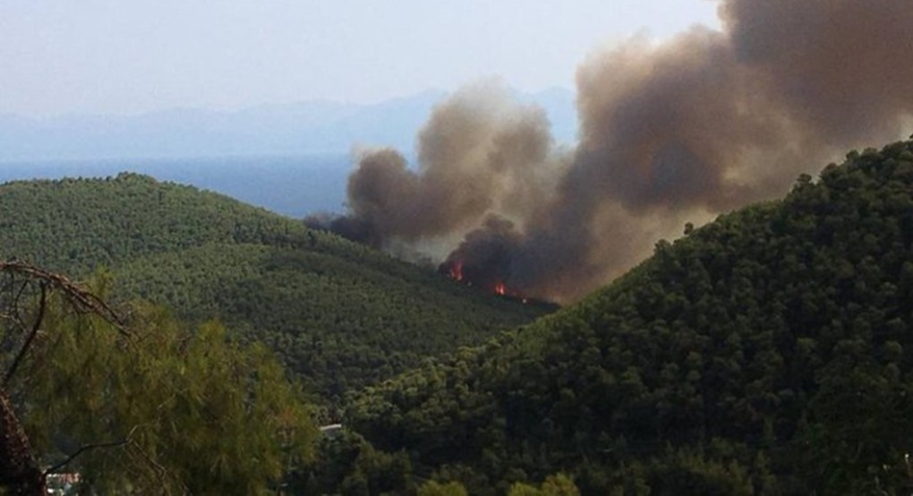 Υπό έλεγχο η φωτιά σε δασική έκταση στη Σκόπελο – Επιχειρούν τρία αεροσκάφη