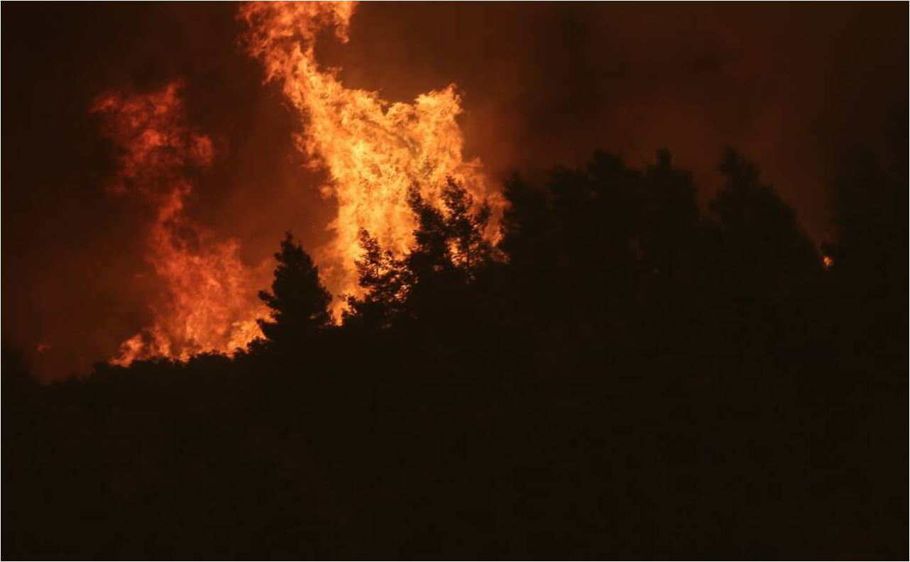 Ολονύχτια μάχη με τις φλόγες στην Εύβοια – Σηκώθηκαν τα εναέρια μέσα