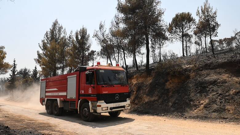 Φωτιά στην Απείρανθο Νάξου