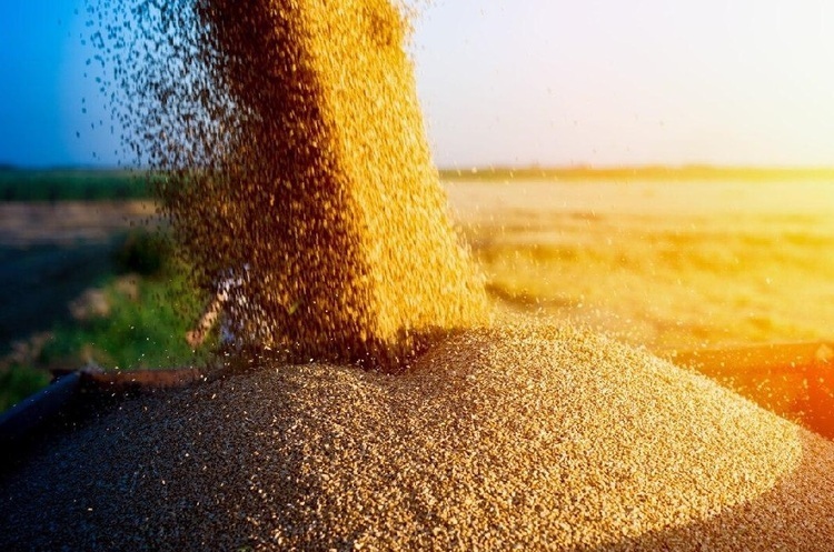 Ι.Καλίν: Υπογράφεται αύριο η συμφωνία Ουκρανίας – Ρωσίας για τα σιτηρά