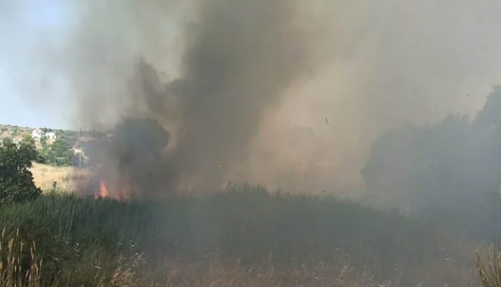 Παλλήνη: Έσβησε η φωτιά που ξέσπασε νωρίτερα σε οικοπεδικούς χώρους