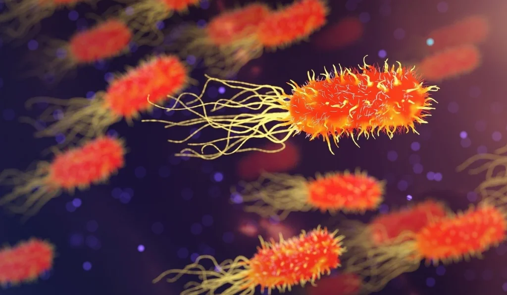 Γουαδελούπη: Ανακαλύφθηκε το μεγαλύτερο βακτήριο στον κόσμο – Είναι ορατό διά γυμνού οφθαλμού