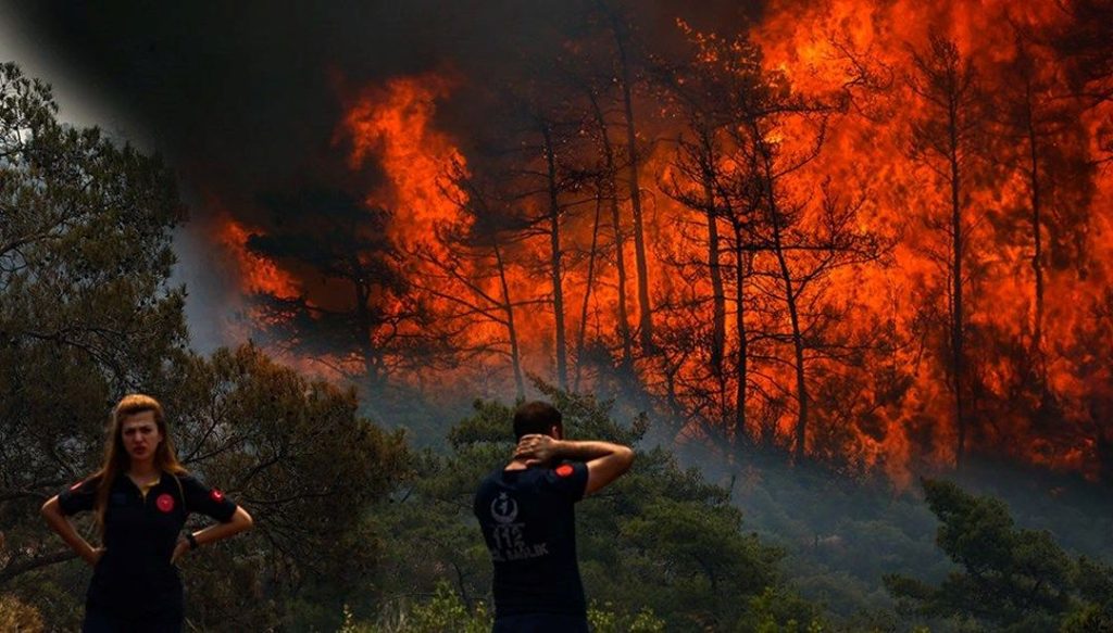 Τουρκία: Έβαλε φωτιά σε δάσος της Μαρμαρίδα επειδή μάλωσε με συγγενείς – Συνελήφθη ο ύποπτος (βίντεο)