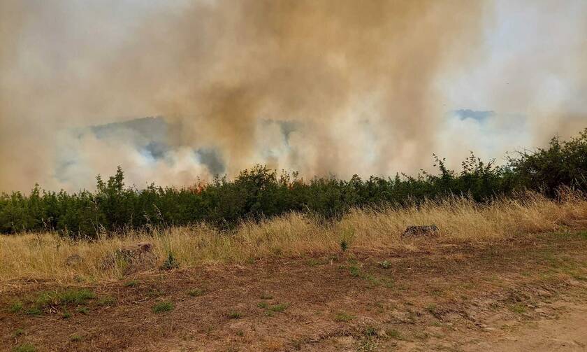 Πέλλα: Μαίνεται η φωτιά – Eνισχύονται οι δυνάμεις της Πυροσβεστικής