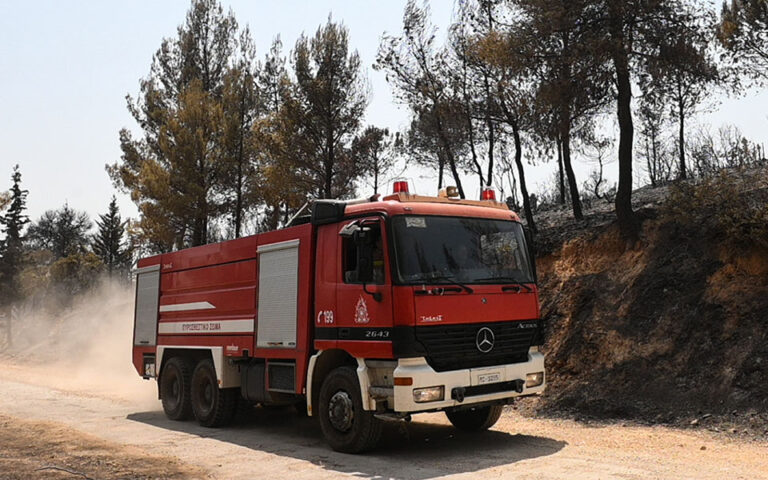 Πέλλα: Φωτιά καίει δασική έκταση – Μεγάλη κινητοποίηση της Πυροσβεστικής