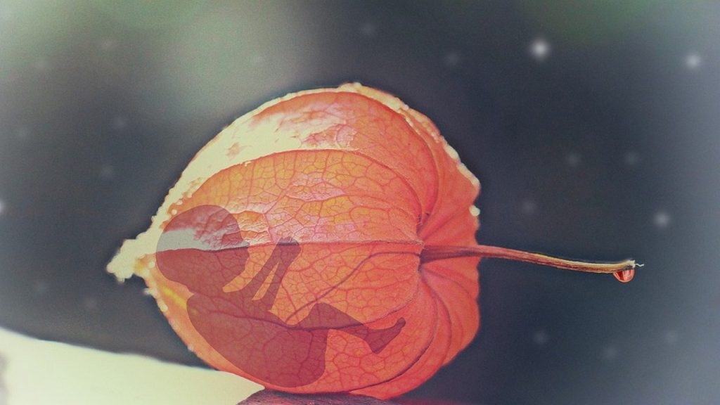 Βατικανό: Καλωσόρισε την απόφαση του Ανωτάτου Δικαστηρίου των ΗΠΑ για τις αμβλώσεις