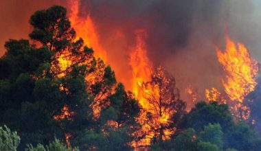 Συμβαίνει τώρα: Φωτιά στο Άγιον Όρος