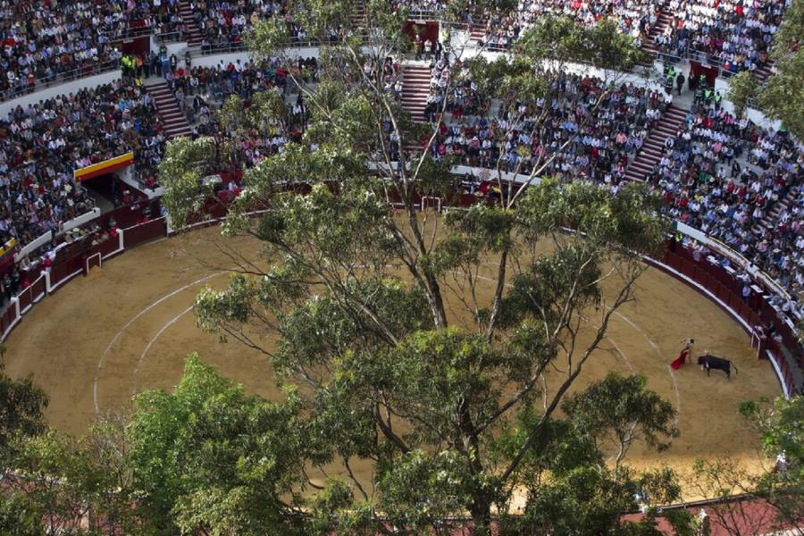 Κολομβία: 5 νεκροί από κατάρρευση εξέδρας σε ταυρομαχία