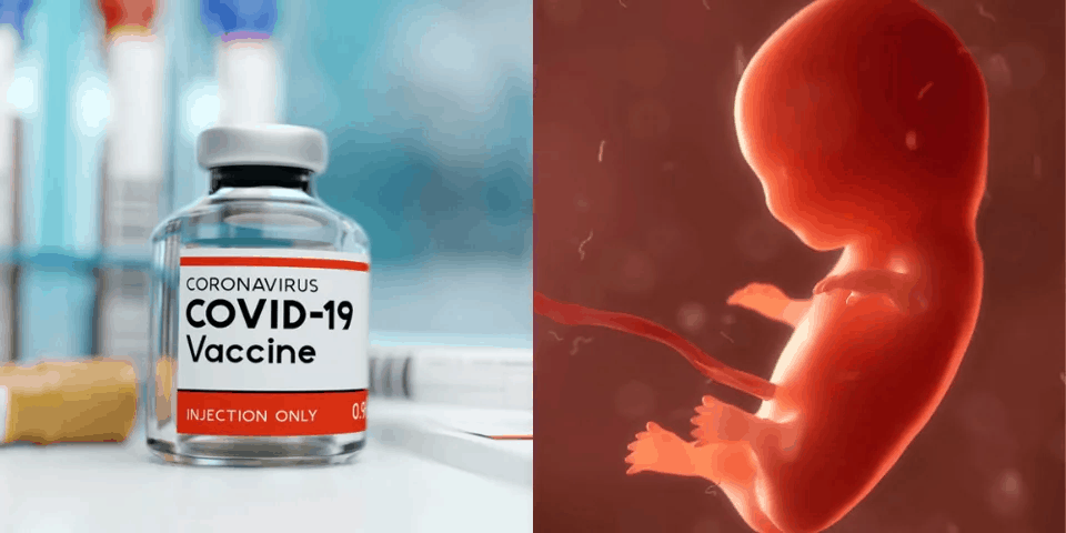 Το ΑΚΚΕΛ καταδικάζει «την μισάνθρωπη υποκρισία των εκτρωσιολάγνων και εμβολιολάγνων»