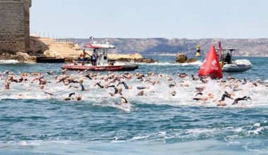 Τρόμος σε αγώνα ανοιχτής θαλάσσης στη Μασσαλία: Μέδουσες επιτέθηκαν σε κολυμβητές – «Άρχισαν να ουρλιάζουν»