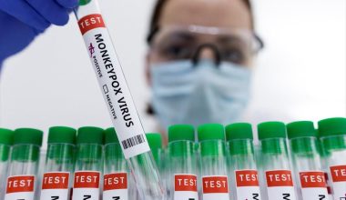Ευλογιά των πιθήκων: Η κυβέρνηση Μπάιντεν θα διαθέσει 296.000 δόσεις εμβολίων σε πολιτείες των ΗΠΑ
