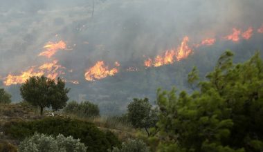 Κόρινθος: Φωτιά ξέσπασε στην περιοχή πεδίο βολής (βίντεο)