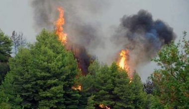 Φωτιά κοντά στα Οινόφυτα: Πνέουν ισχυροί άνεμοι στην περιοχή