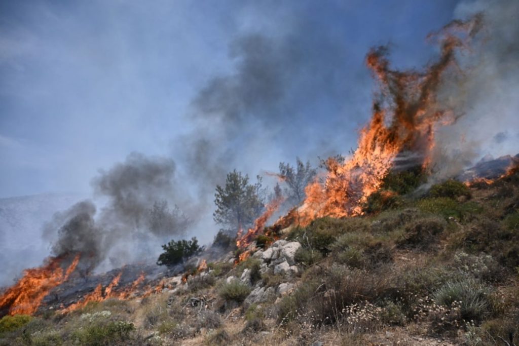 Μεγάλη φωτιά στην Κάρυστο Ευβοίας – Είναι κοντά σε υποσταθμό της ΔΕΗ