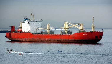Τουρκία: Κατέσχεσε φορτίο ρωσικού πλοίου με σιτηρά