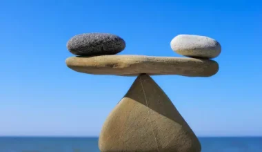 Ο «μάγος» της ισορροπίας: Στερεώνει ότι μπορείτε να φανταστείτε πάνω σε μικρές πέτρες (βίντεο)