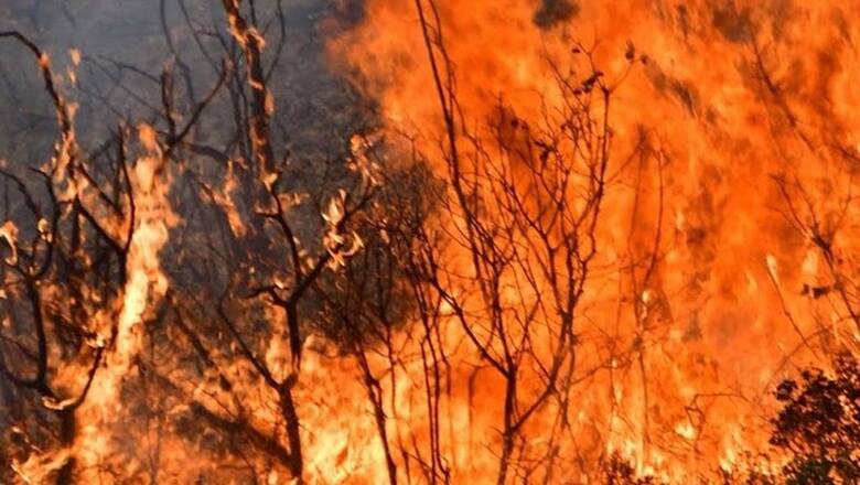 Φωτιά στην Ηλεία: Μαίνεται το πύρινο μέτωπο στο χωριό Βάλμη