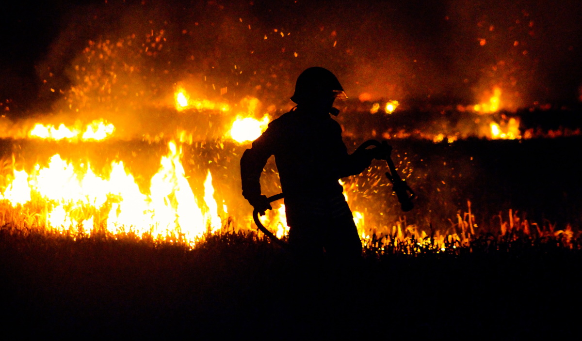 Πύρινη «κόλαση»: Καίγεται το 5άστερο “Amanzoe” στο Κρανίδι – Δεν υπήρχαν αρκετά εναέρια πυροσβεστικά μέσα (upd)