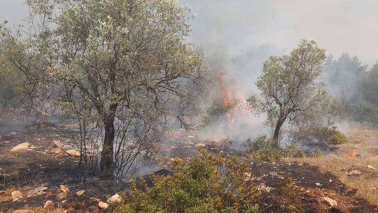 Φωτιά στο Πόρτο Γερμενό: Προσαγωγή υπόπτου – Βρέθηκε στο δάσος με εύφλεκτο υλικό