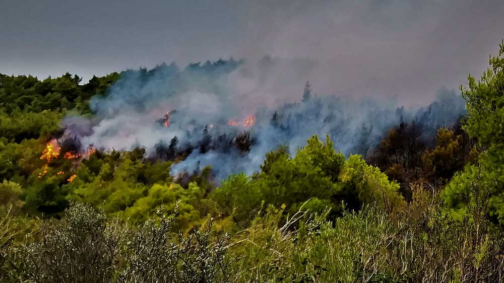 Λευκάδα: Υπό μερικό έλεγχο η φωτιά στο Πόρτο Κατσίκι