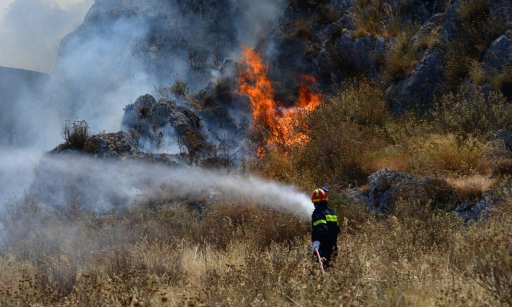 Φωτιά στην Άμφισσα: Μεγάλες καταστροφές στον παραδοσιακό Ελαιώνα – Έχουν καεί 3.000 στρέμματα