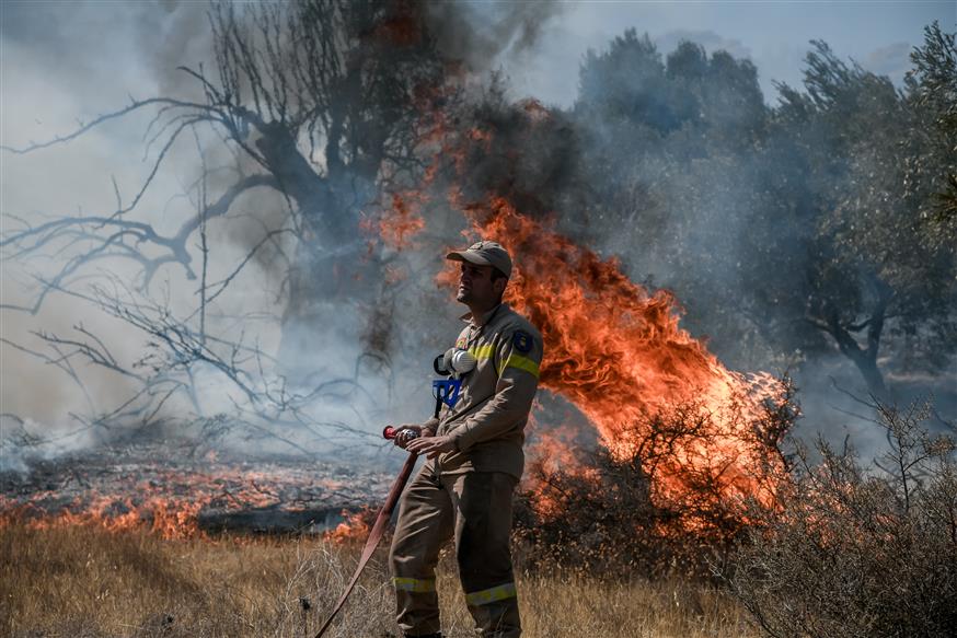 Πολιτική Προστασία: Πολύ υψηλός κίνδυνος πυρκαγιάς αύριο (6/7) για Αττική – Στερεά Ελλάδα – Βόρειο Αιγαίο