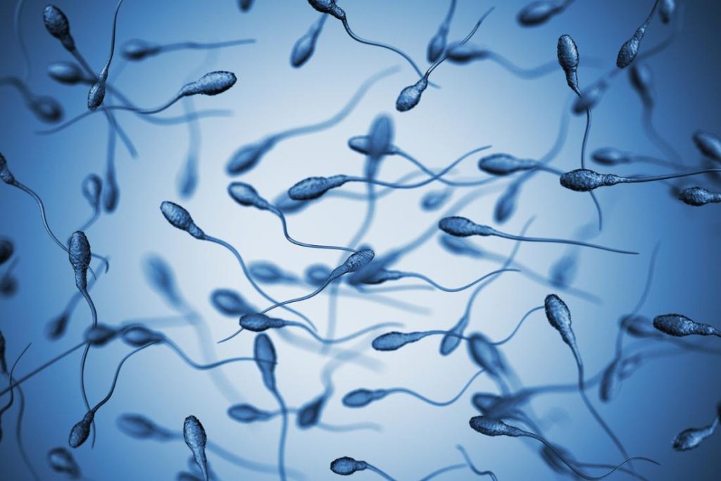 Ανδρική γονιμότητα: Η νόσηση με κορωνοϊό μπορεί να μειώσει το σπέρμα για αρκετούς μήνες