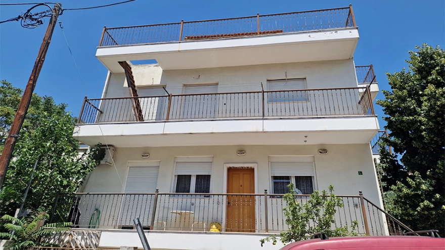 Θεσσαλονίκη: Έτσι αποκαλύφθηκε το σπίτι υγειονομική «βόμβα» με τις 40 γάτες