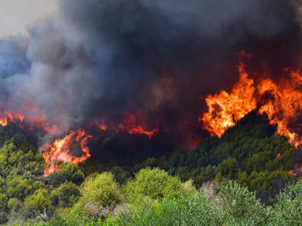 Σε ύφεση η φωτιά που ξέσπασε στο Νέο Πετρίτσι Σερρών (upd)