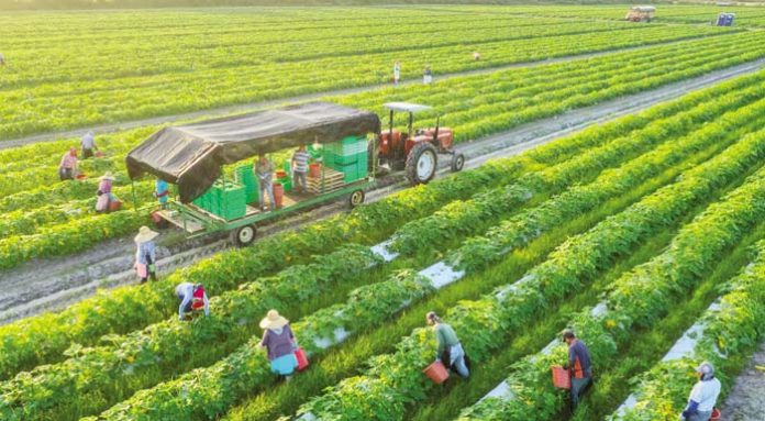 Βιολογική Γεωργία: Oι δικαιούχοι ανέρχονται στους 56.701 – Η κατανομή