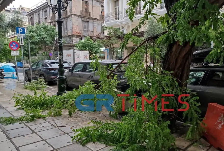 «Βούλιαξε» η Θάσος από την κακοκαιρία – Πτώσεις δέντρων στη Θεσσαλονίκη
