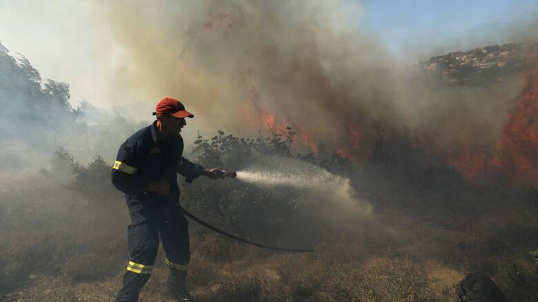 Υπό μερικό έλεγχο η φωτιά στη βόρεια Εύβοια