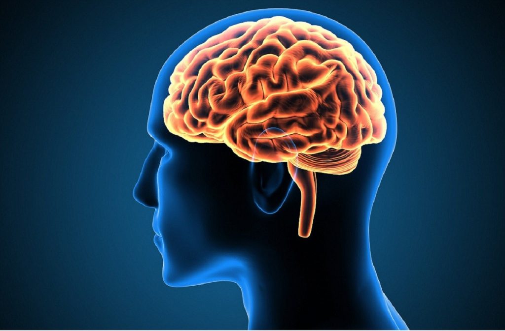 Νέα μελέτη: Οι περιοχές του εγκεφάλου που συνδέονται με την αμυγδαλή αναπτύσσονται διαφορετικά στον αυτισμό