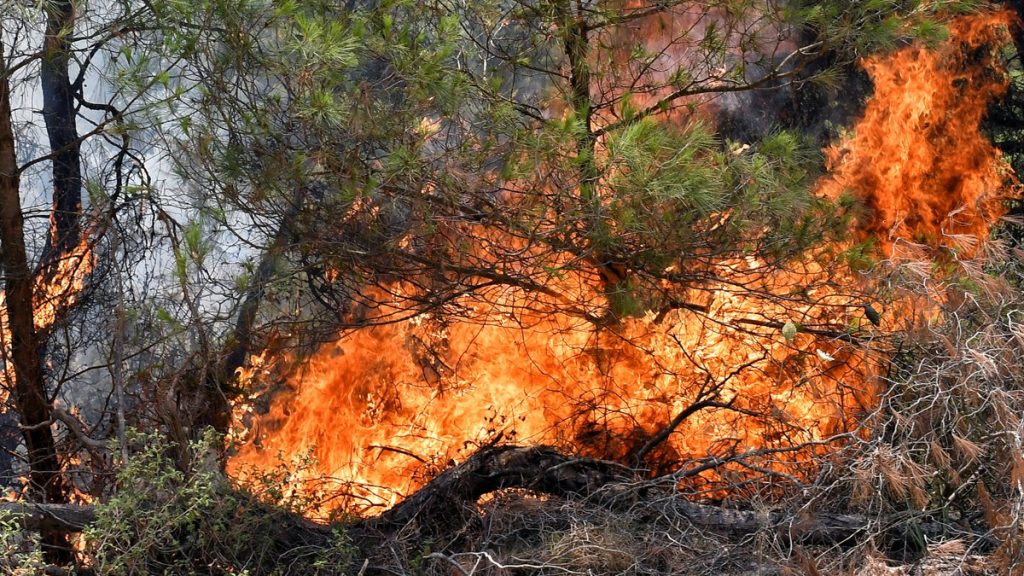 Φωτιά σε αγροτοδασική έκταση στο Μάζι Βοιωτίας