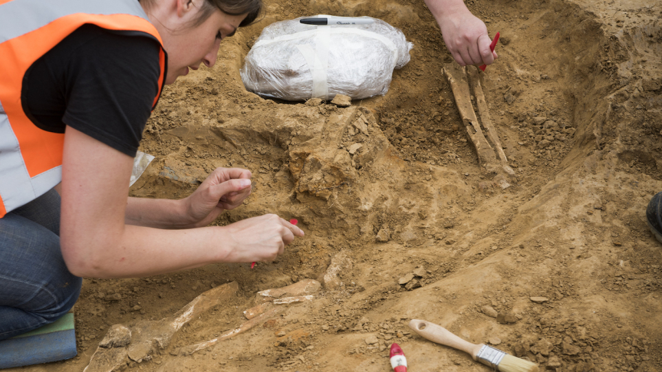 Λείψανα στρατιωτών που σκοτώθηκαν στη μάχη του Βατερλώ εντόπισαν αρχαιολόγοι