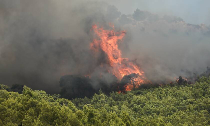 Φωτιά τώρα στο δήμο Σαρωνικού στην περιοχή Φέριζα – Μήνυμα του 112 για εκκένωση