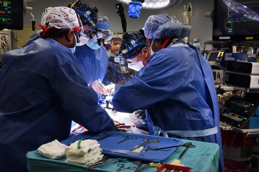Δύο καρδιές χοίρου μεταμοσχεύθηκαν με επιτυχία σε εγκεφαλικά νεκρούς ασθενείς