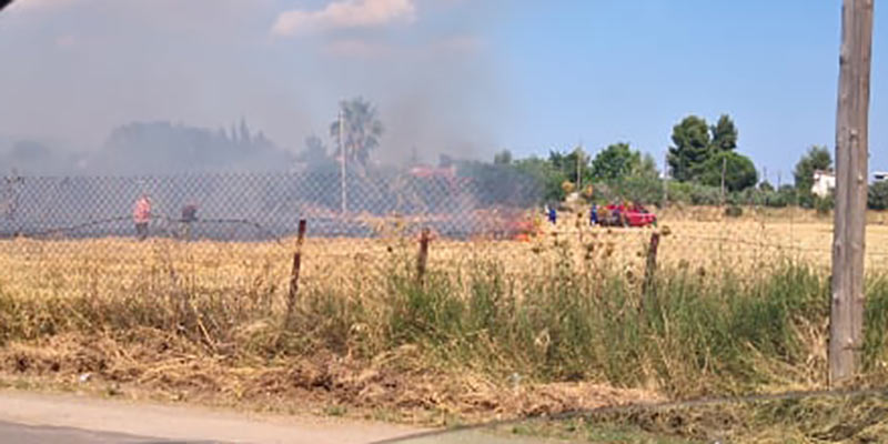 Ωροπός: Έσβησε η φωτιά σε σπίτι στον Άγιο Κωνσταντίνο – Απομακρύνθηκε ηλικιωμένος