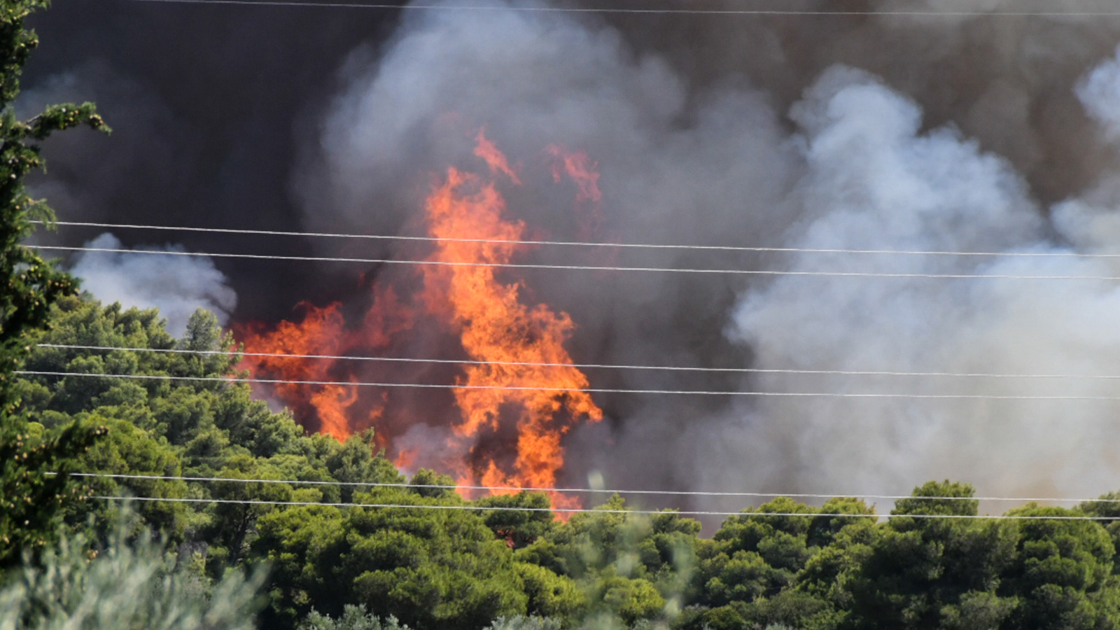 Πολύ υψηλός ο κίνδυνος εκδήλωσης πυρκαγιάς την Τρίτη