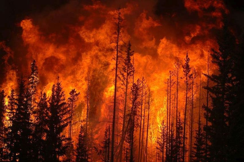 «Πύρινο» καλοκαίρι για την Ευρώπη: Οι δασικές πυρκαγιές έχουν κάψει πάνω από 6 εκατομμύρια στρέμματα 