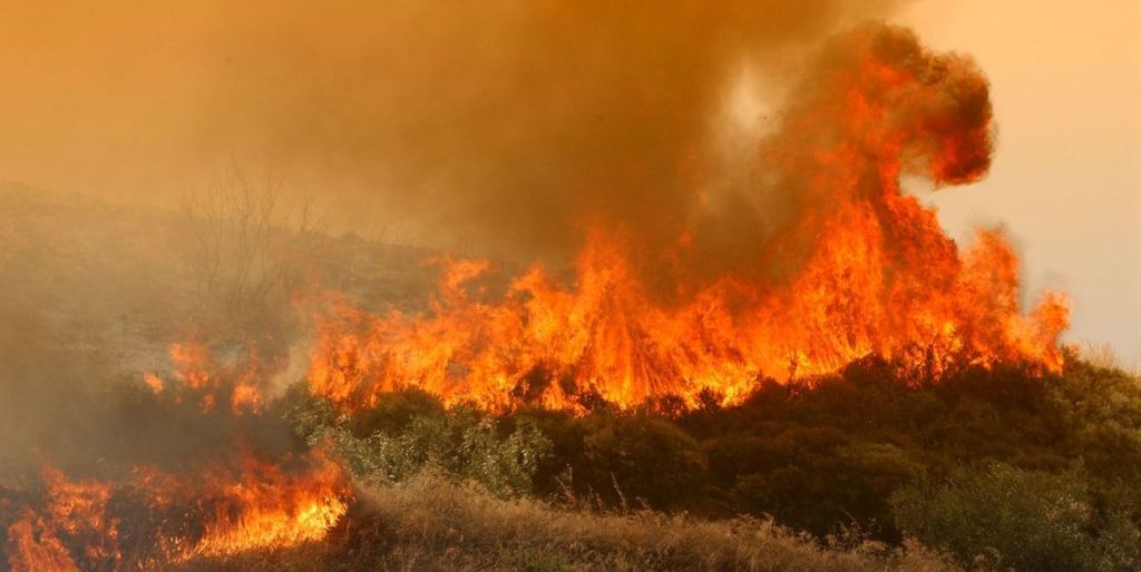 Μεγαλόπολη: Eκτός ελέγχου η φωτιά στην περιοχή Ρούτσι – Επιχειρούν ισχυρές δυνάμεις