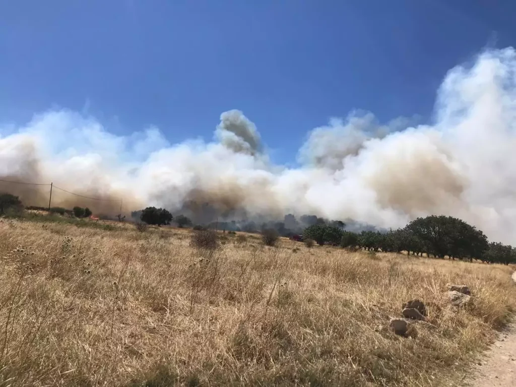 Πυρκαγιά και στην Αρκαδία:  Σε δύσβατη περιοχή κοντά στην Μεγαλόπολη